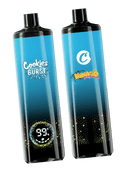 Mango Palmer